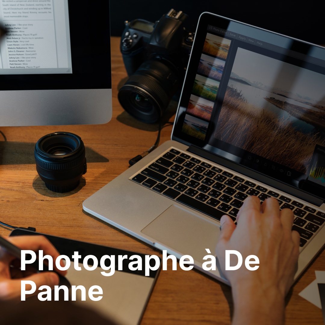 photographe De Panne